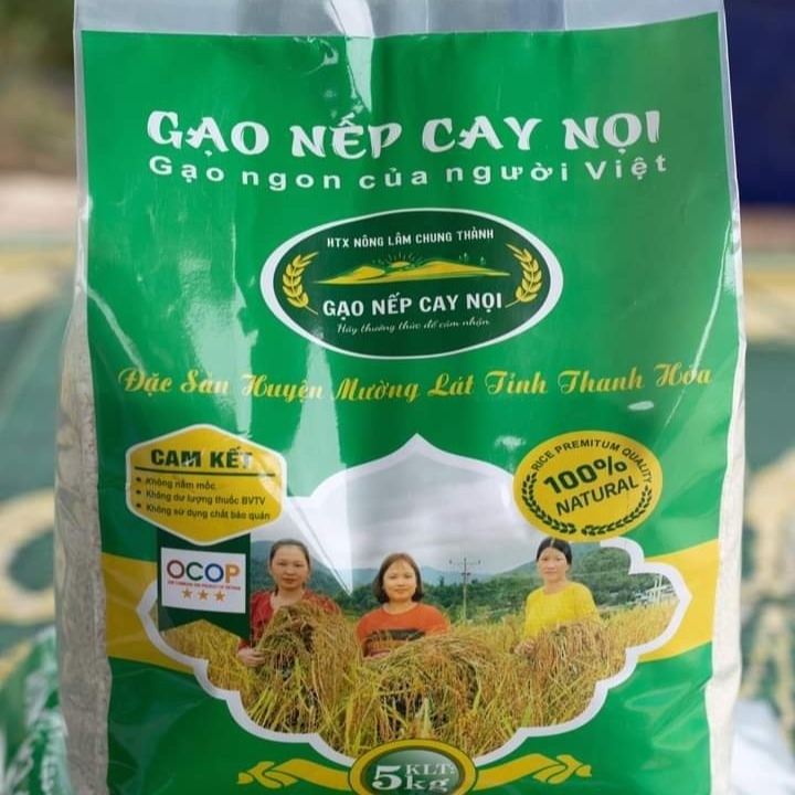 Gạo nếp cay nọi